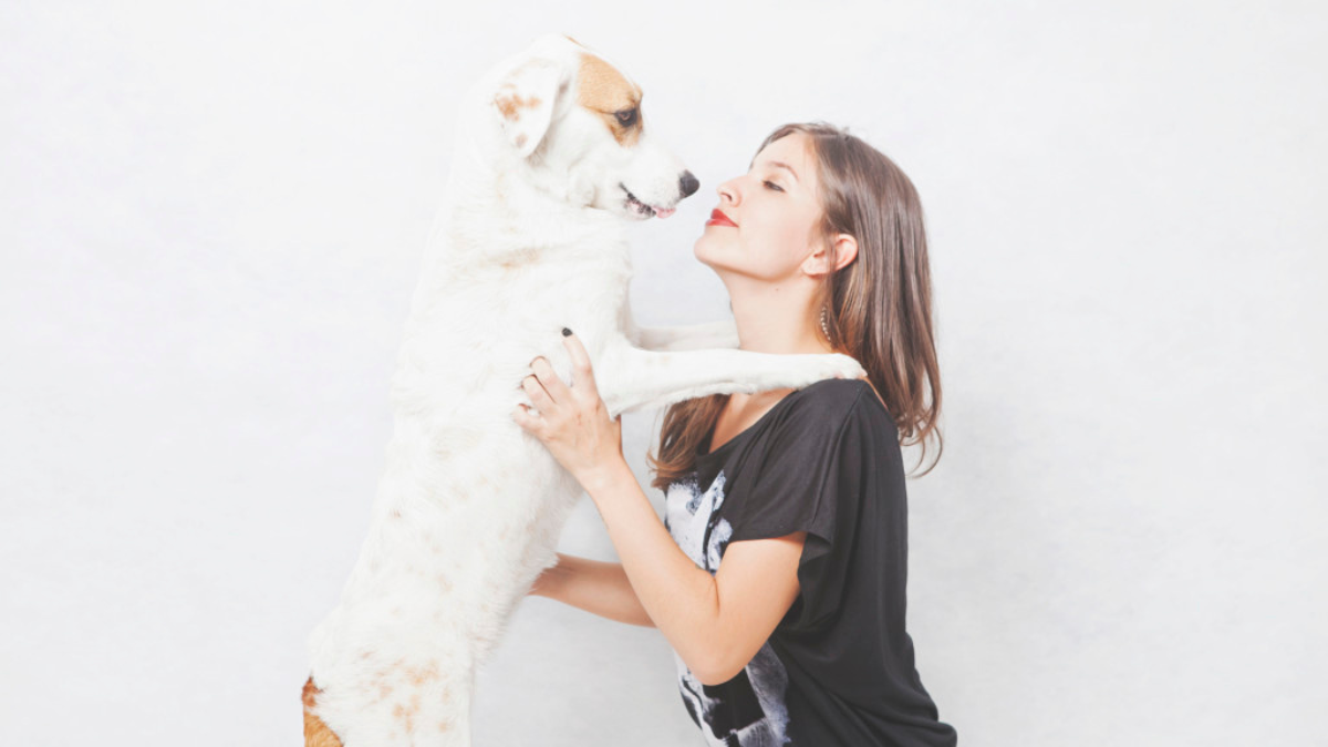 > AdoCão: Editorial – Vira Lata os verdadeiros cães de raça para Animi